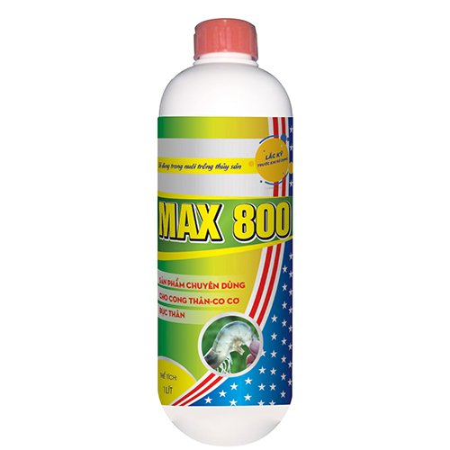 MAX 800